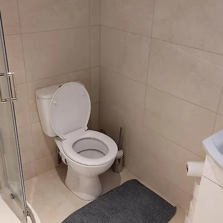 Nyaraló Mount Leinster Bagenalstown