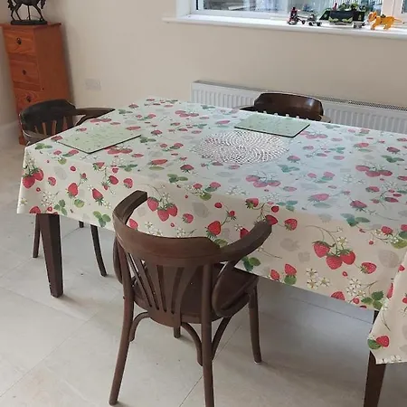 Mount Leinster Nyaraló Bagenalstown