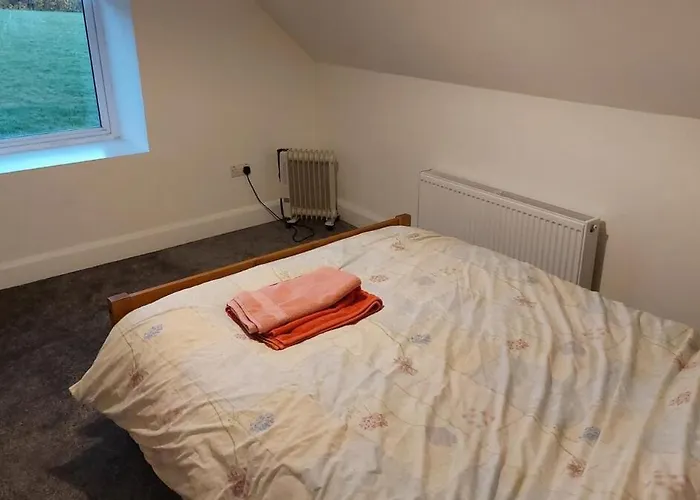 Mount Leinster Дом отдыха Bagenalstown