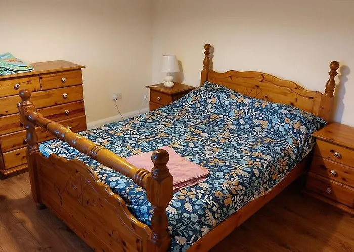 Mount Leinster Bagenalstown