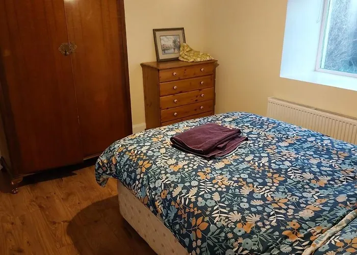 Mount Leinster Дом отдыха *